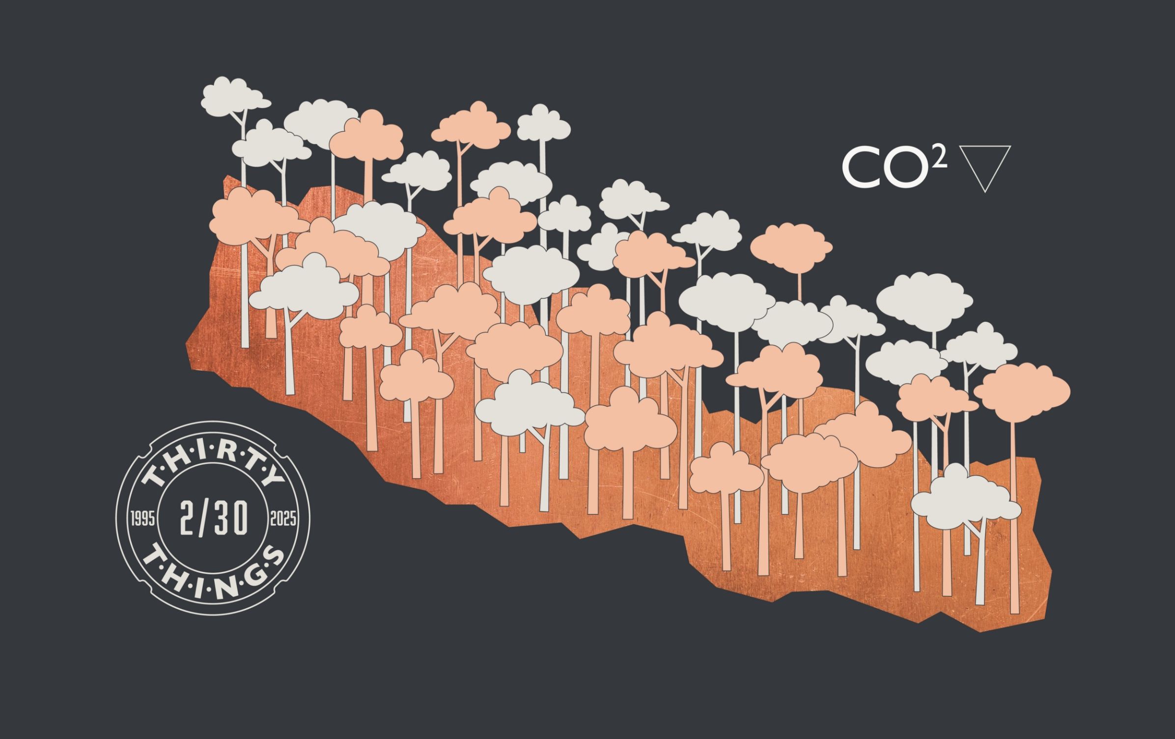 Number 2 out of 20 in Optima's 30 things showing trees covering the country outline of Nepal with a CO2 and down arrow to represent offsetting carbon by planting trees in Nepal