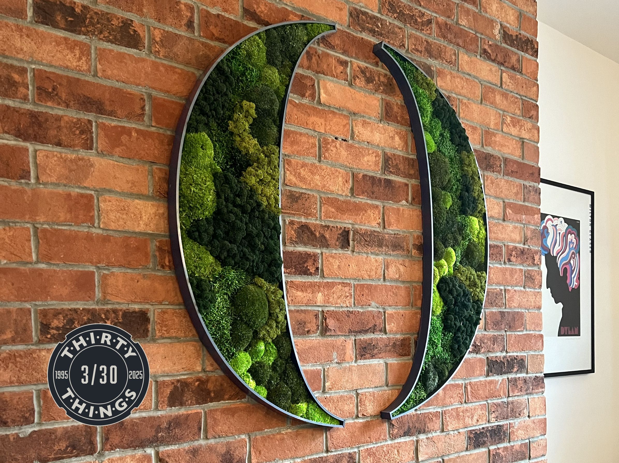 Our moss wall art mounted in the meeting room - celebrating 30 years Optima Design - number 3 out of 30 things